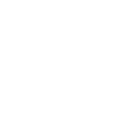 LS7 CAPITAL